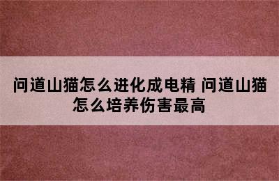 问道山猫怎么进化成电精 问道山猫怎么培养伤害最高